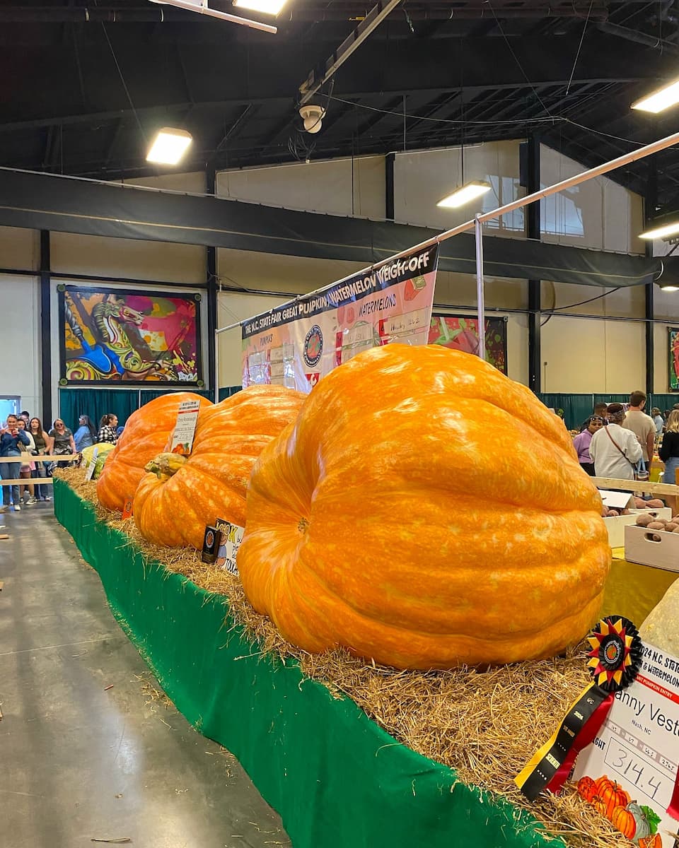 Fall State Fair, Raleigh