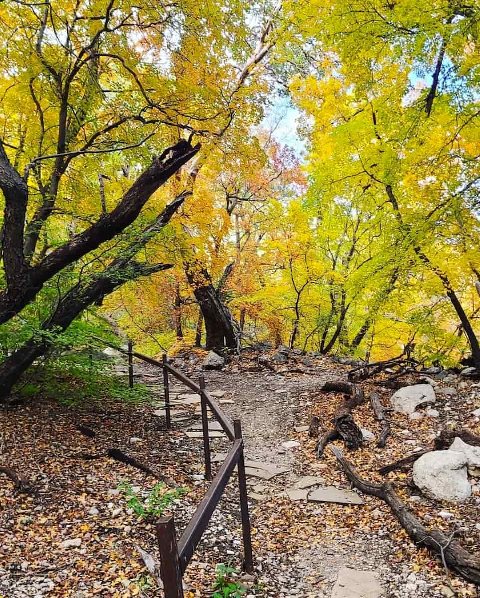 Fall in Texas