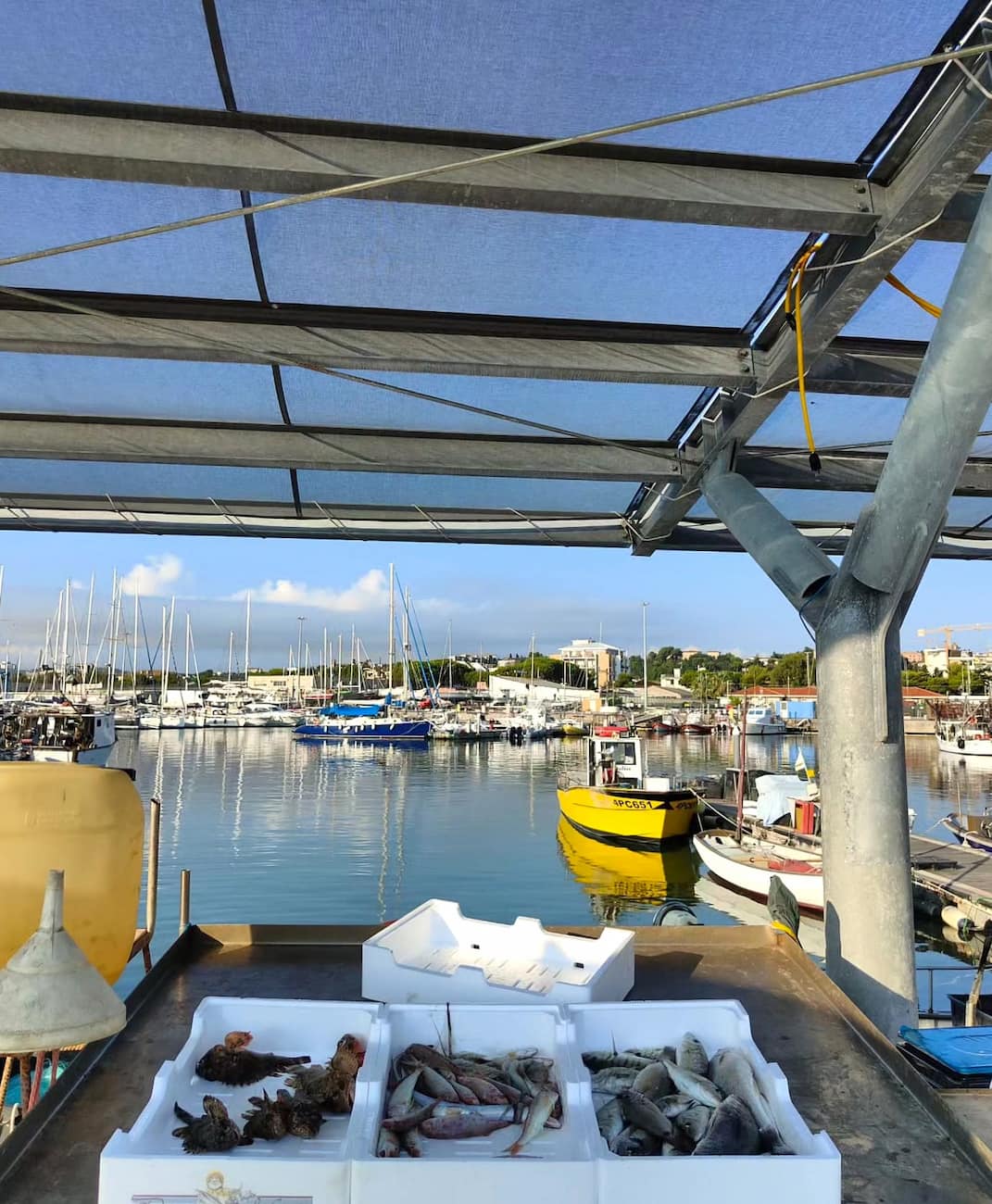 Fishermen at the Marina Tropea