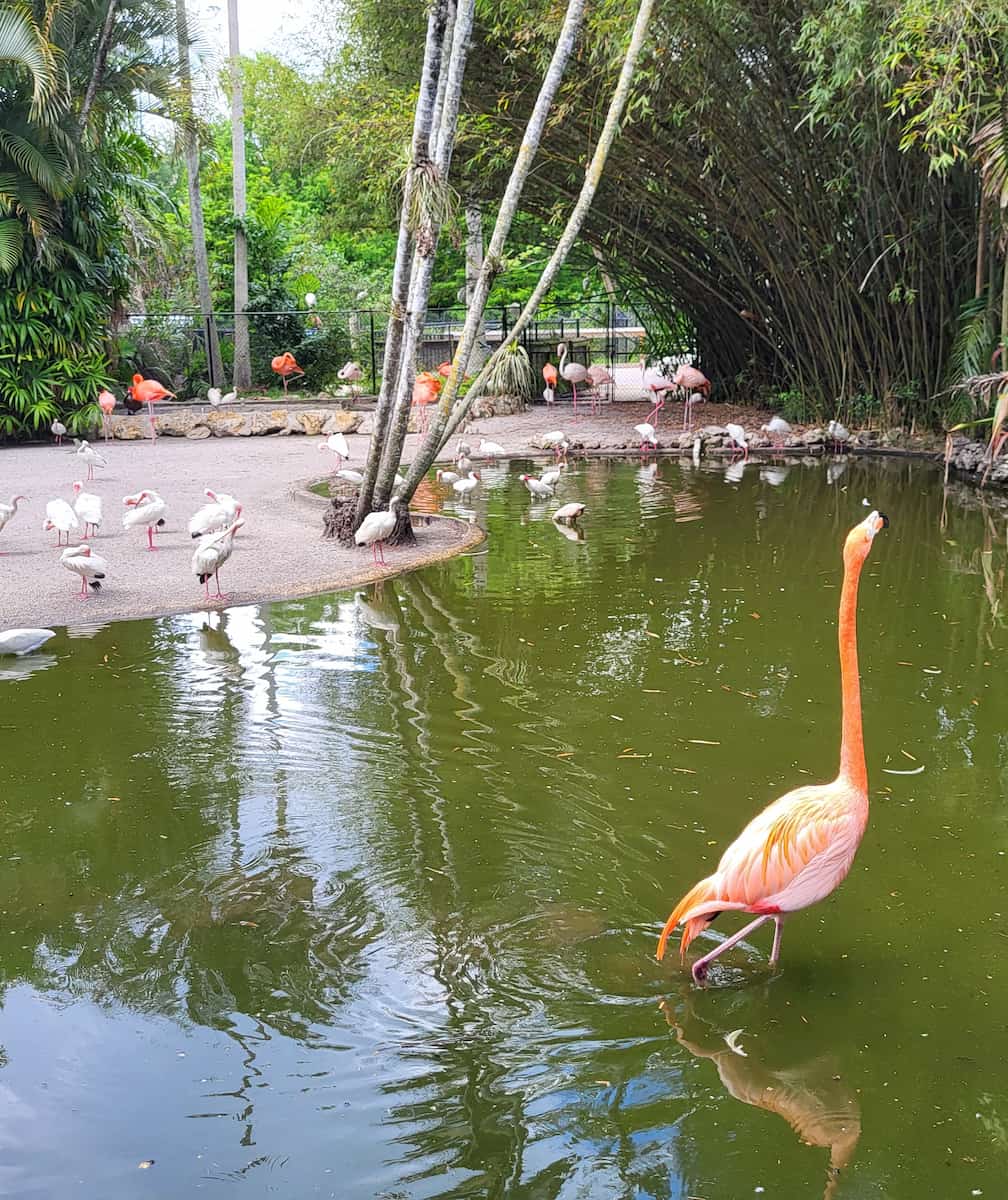 Flamingo Gardens Fort Lauderdale