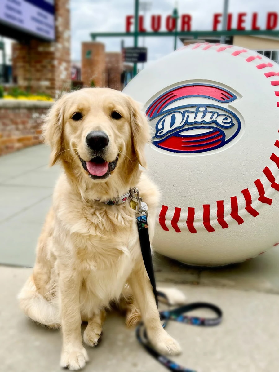 Fluor Field & Greenville Drive Baseball, Greenville