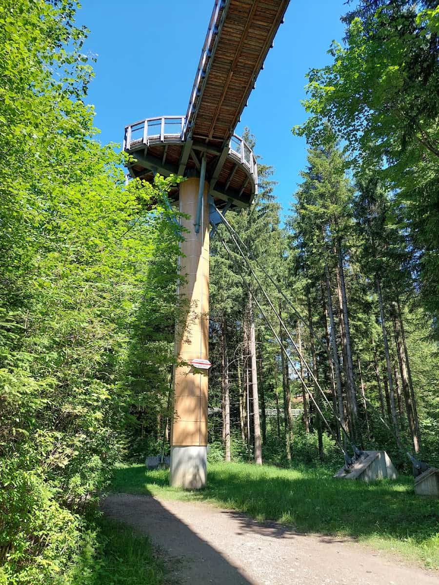 Forest Experience Center Ziegelwies, Füssen