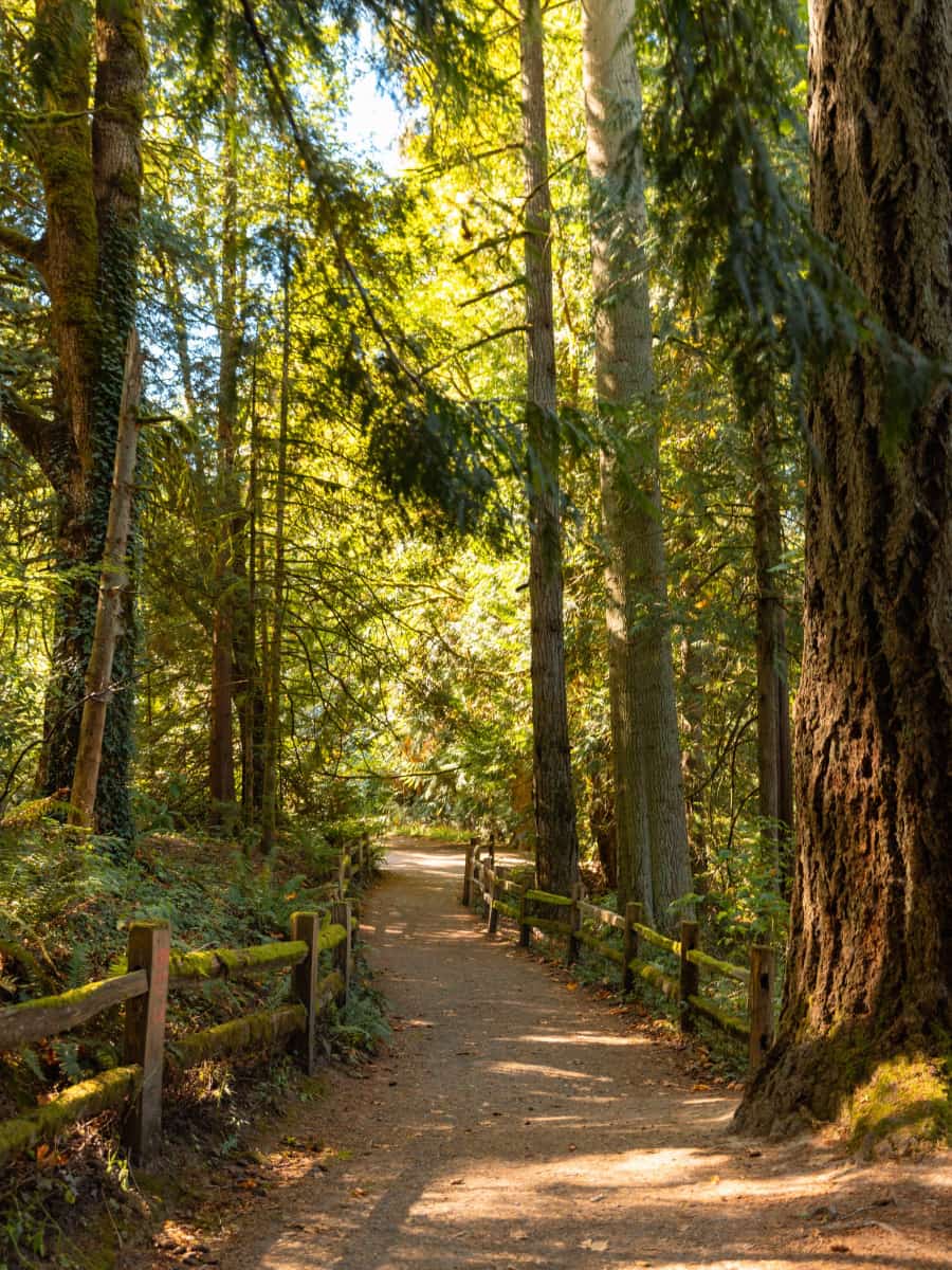 Forest Park, Portland