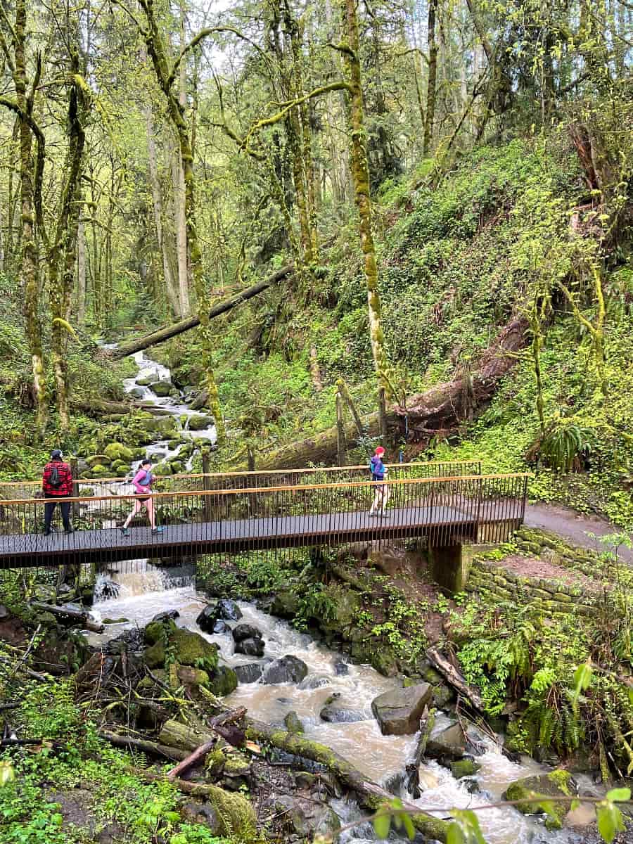 Forest Park, Portland