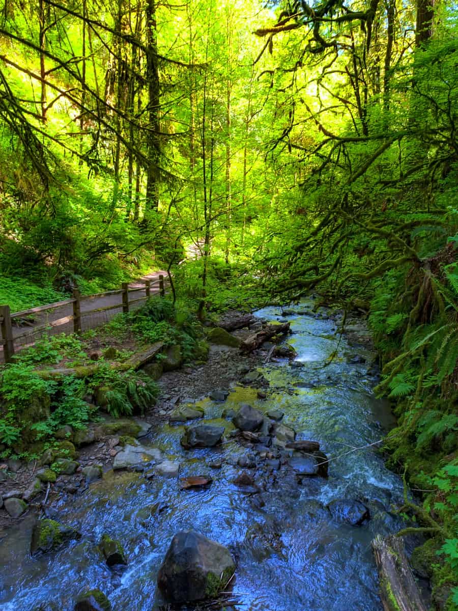 Forest Park, Portland