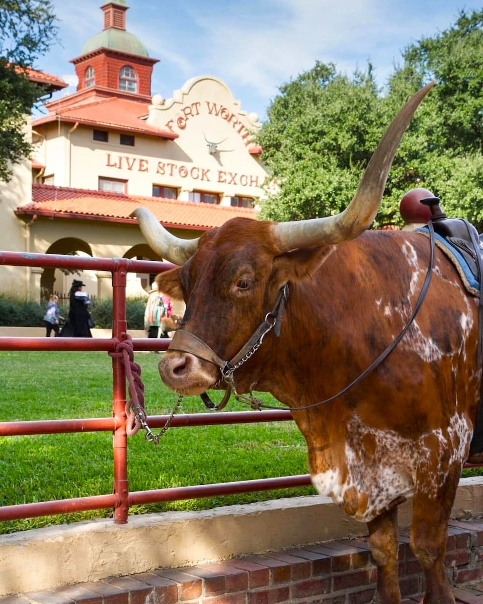 Fort Worth Stockyards, Texas