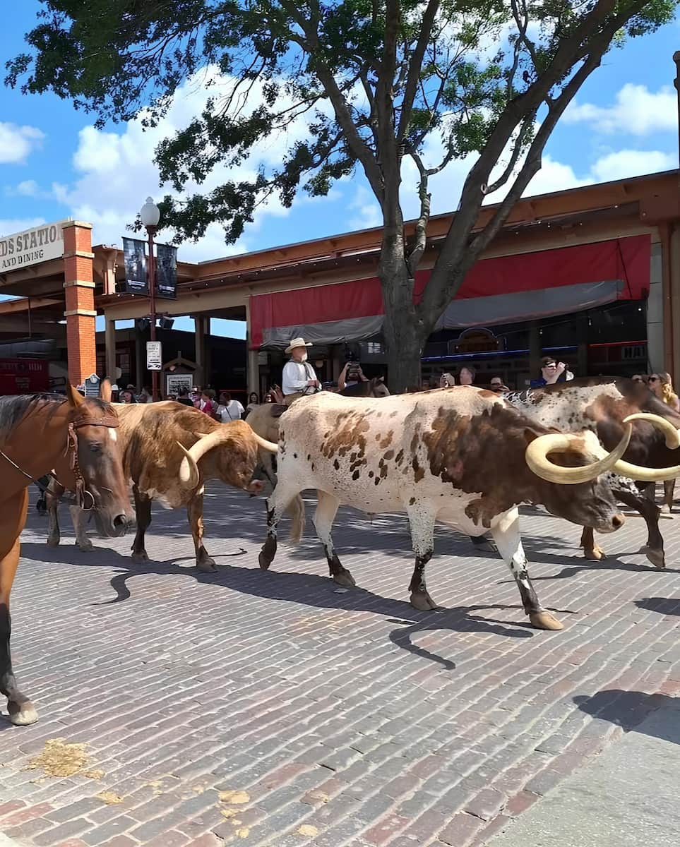 Fort Worth Stockyards, Texas