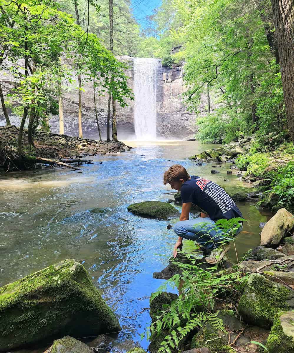 Foster Falls, TN