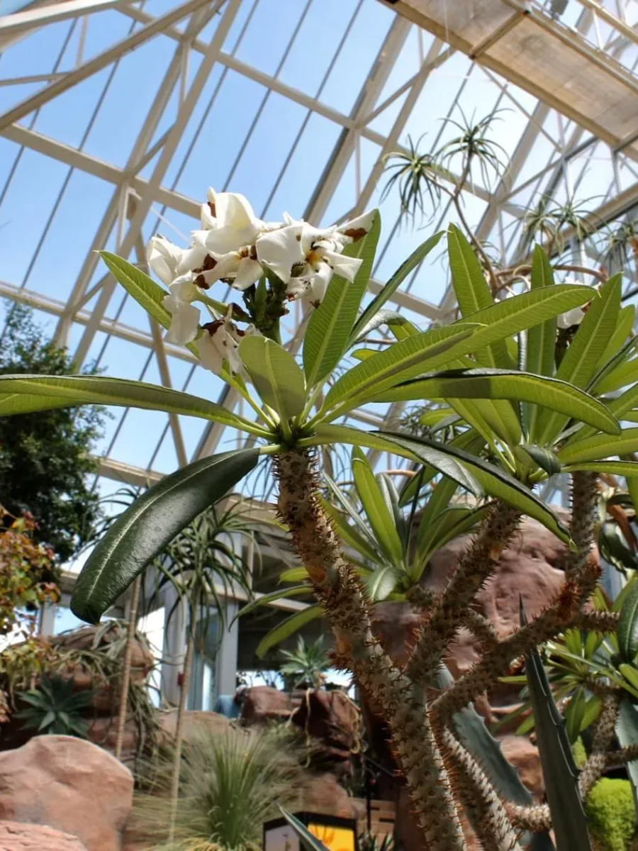 Franklin Park Conservatory, Columbus, Ohio