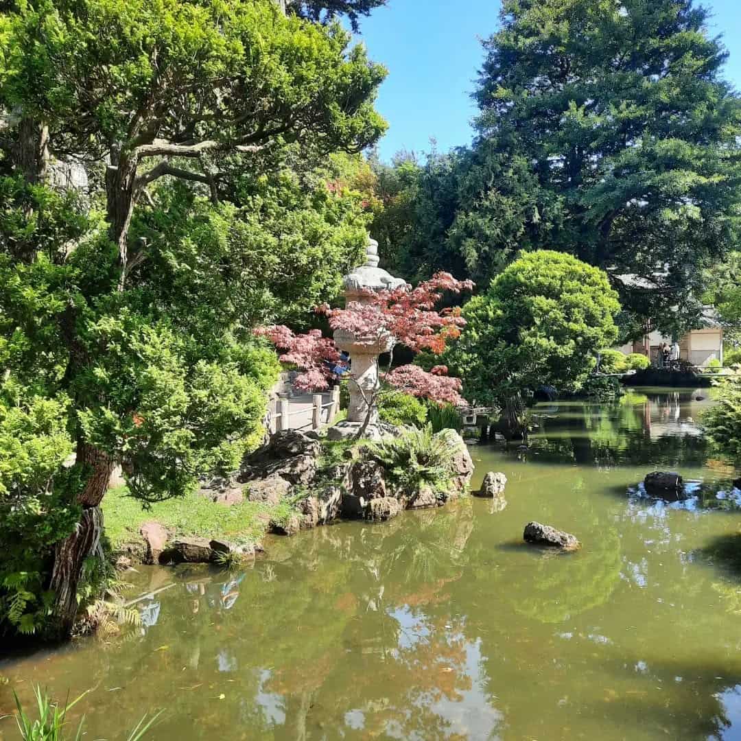 Golden Gate Park, San Francisco