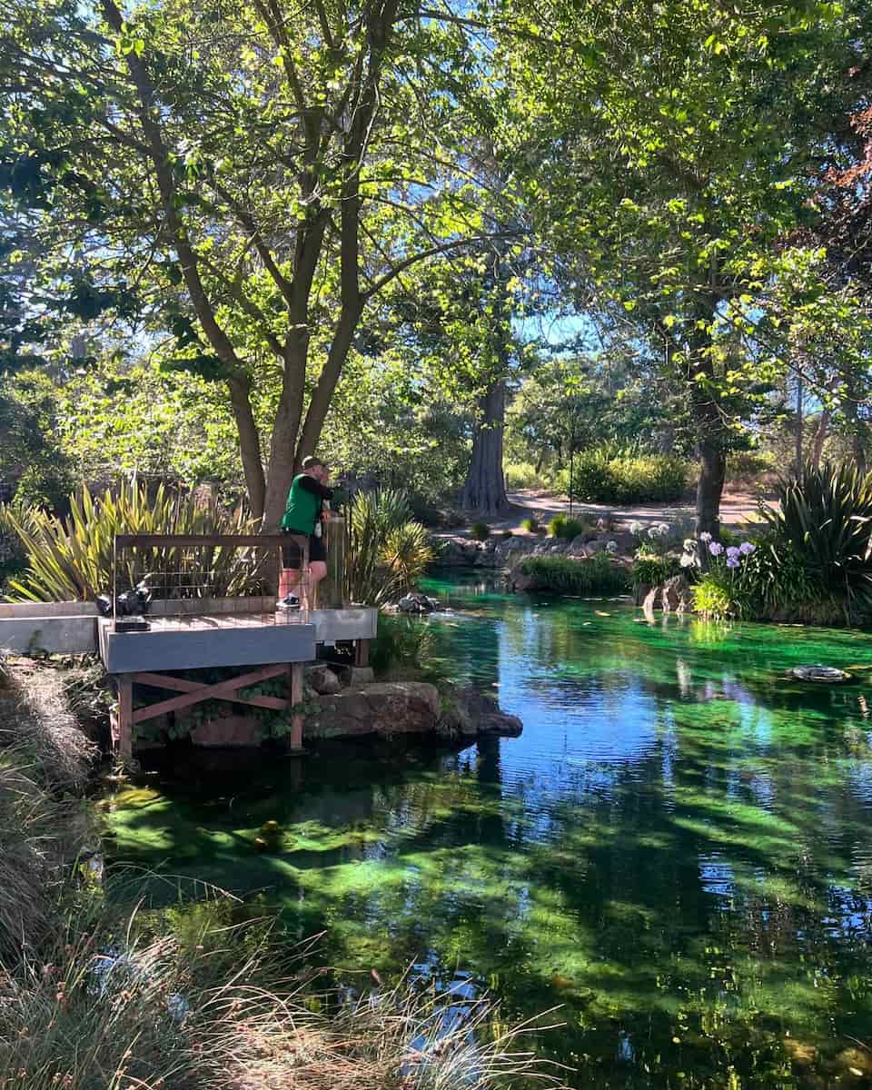 Golden Gate Park, San Francisco