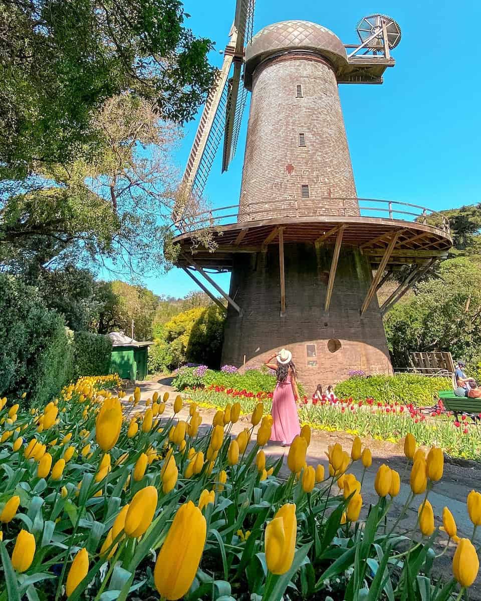 Golden Gate Park, San Francisco