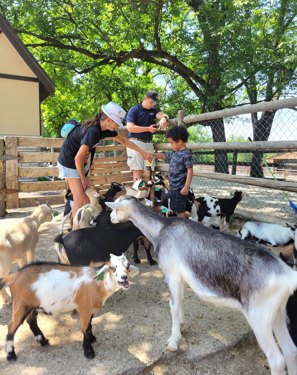 Grant's Farm, St.Louis