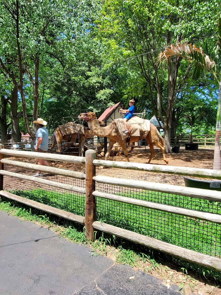 Grant’s Farm, St. Louis