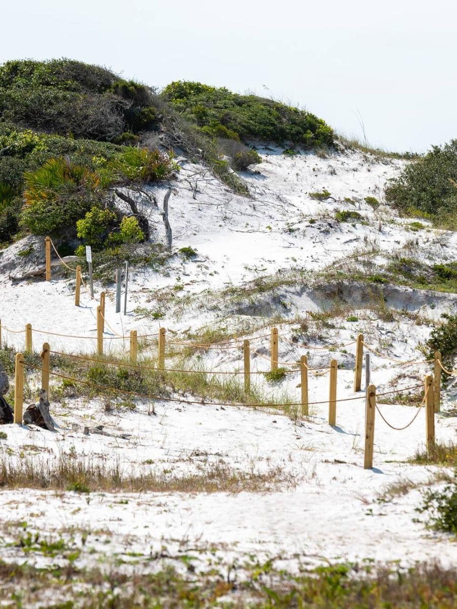 Grayton Beach State Park, Florida