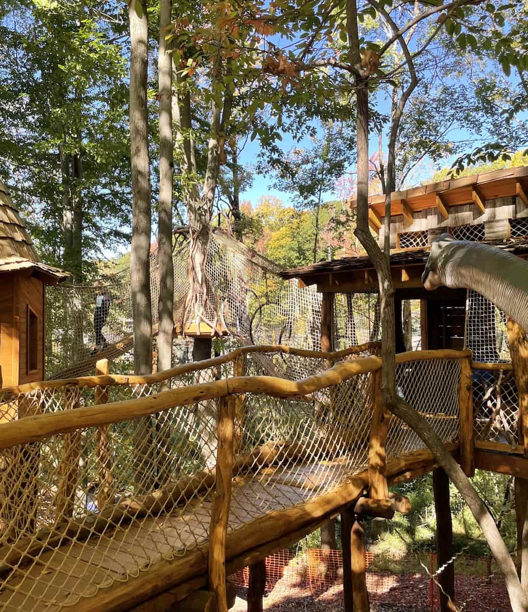 Greensboro Science Center’s Spring Fling