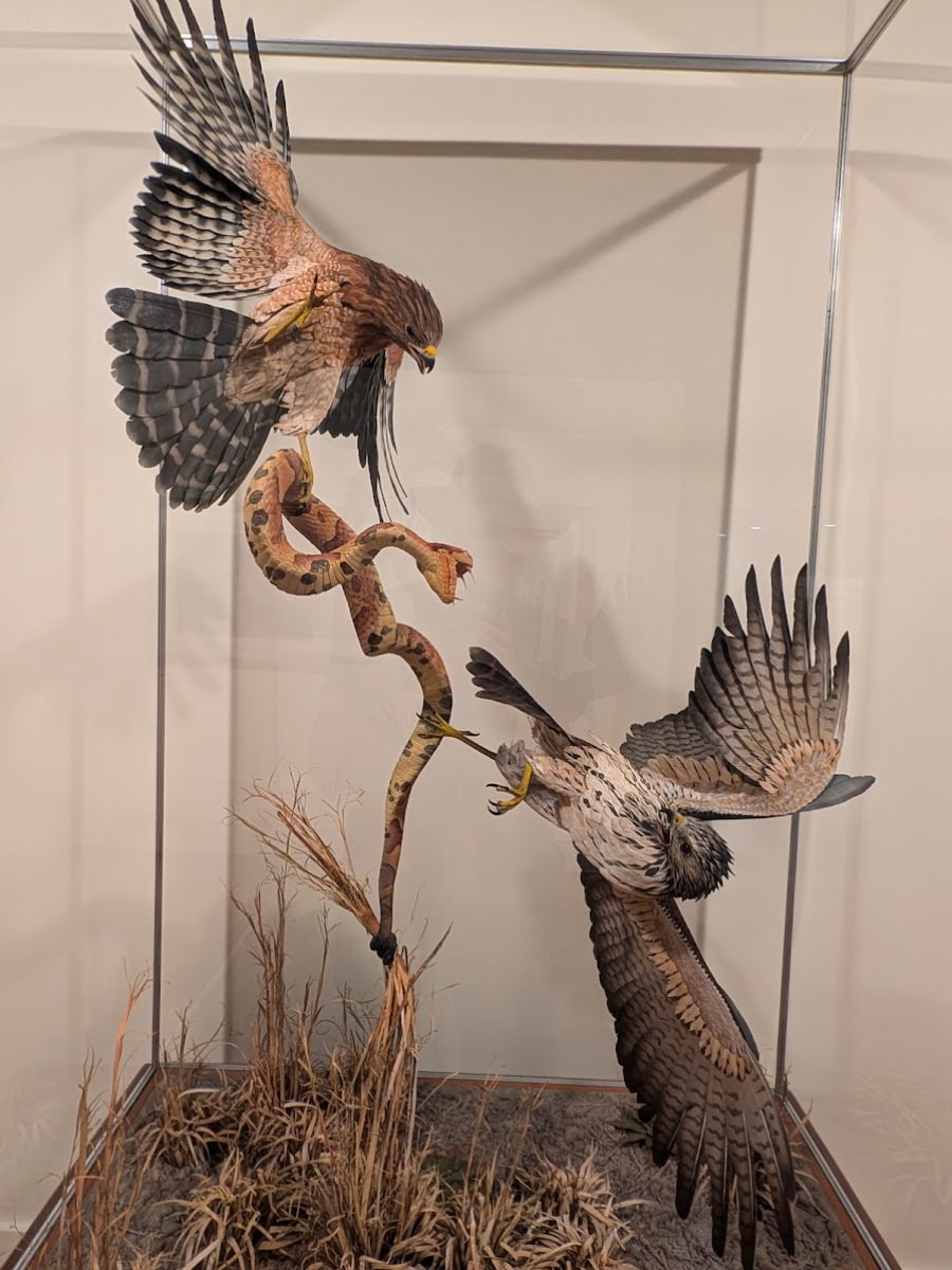 Inside of Greenville County Museum of Art, Greenville