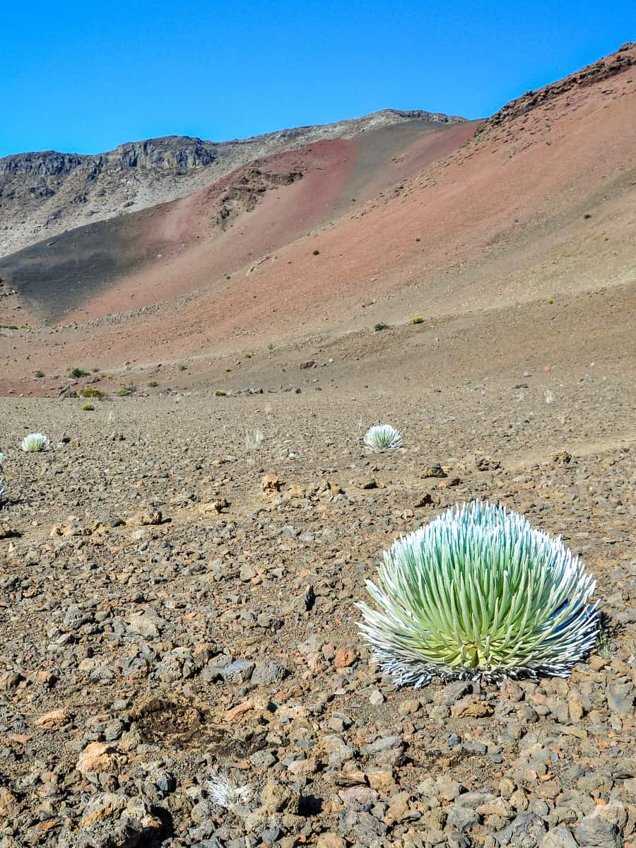 Haleakala National Park, Hawaii