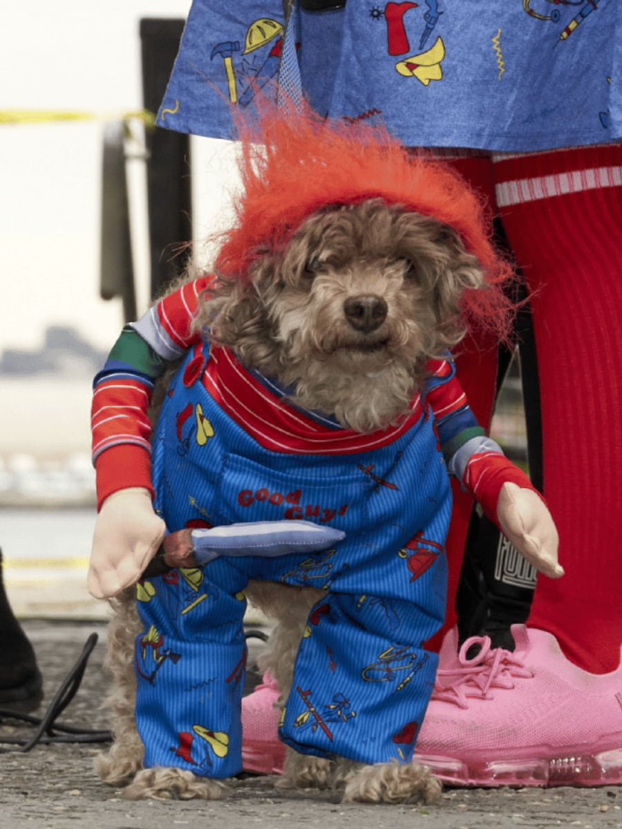 Halloween Parade, NYC