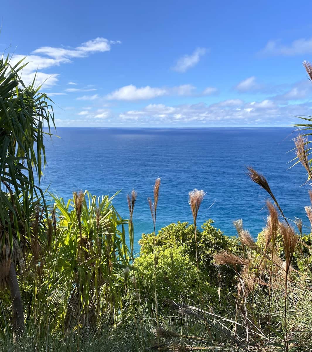 Hanakapiai Falls Trail, Kauai