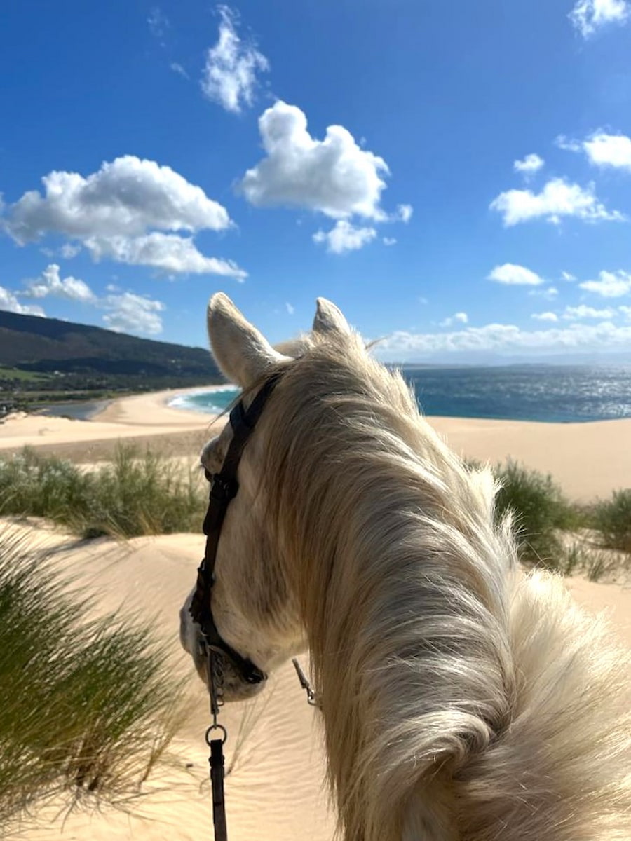 Horseback Riding Tours Tarifa