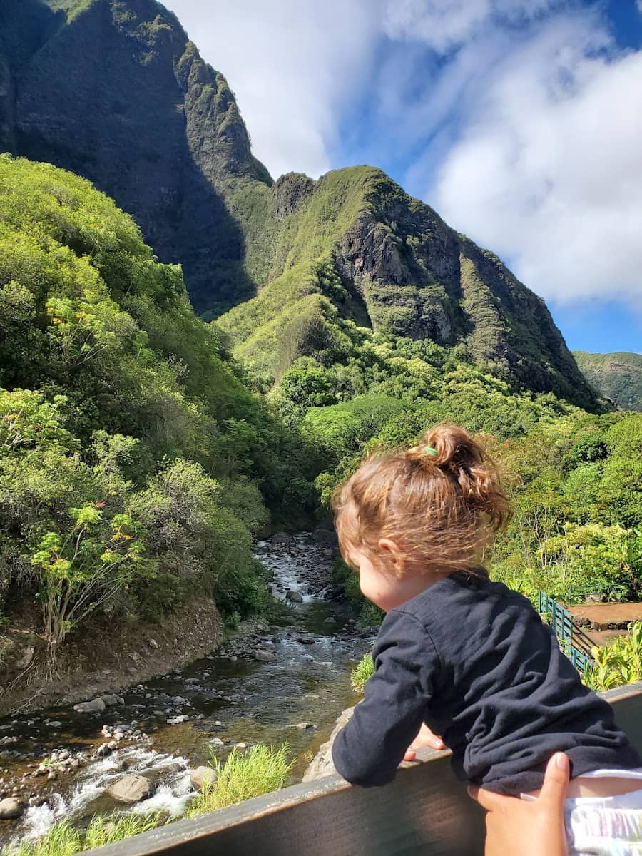 Iao Valley State Park, Maui