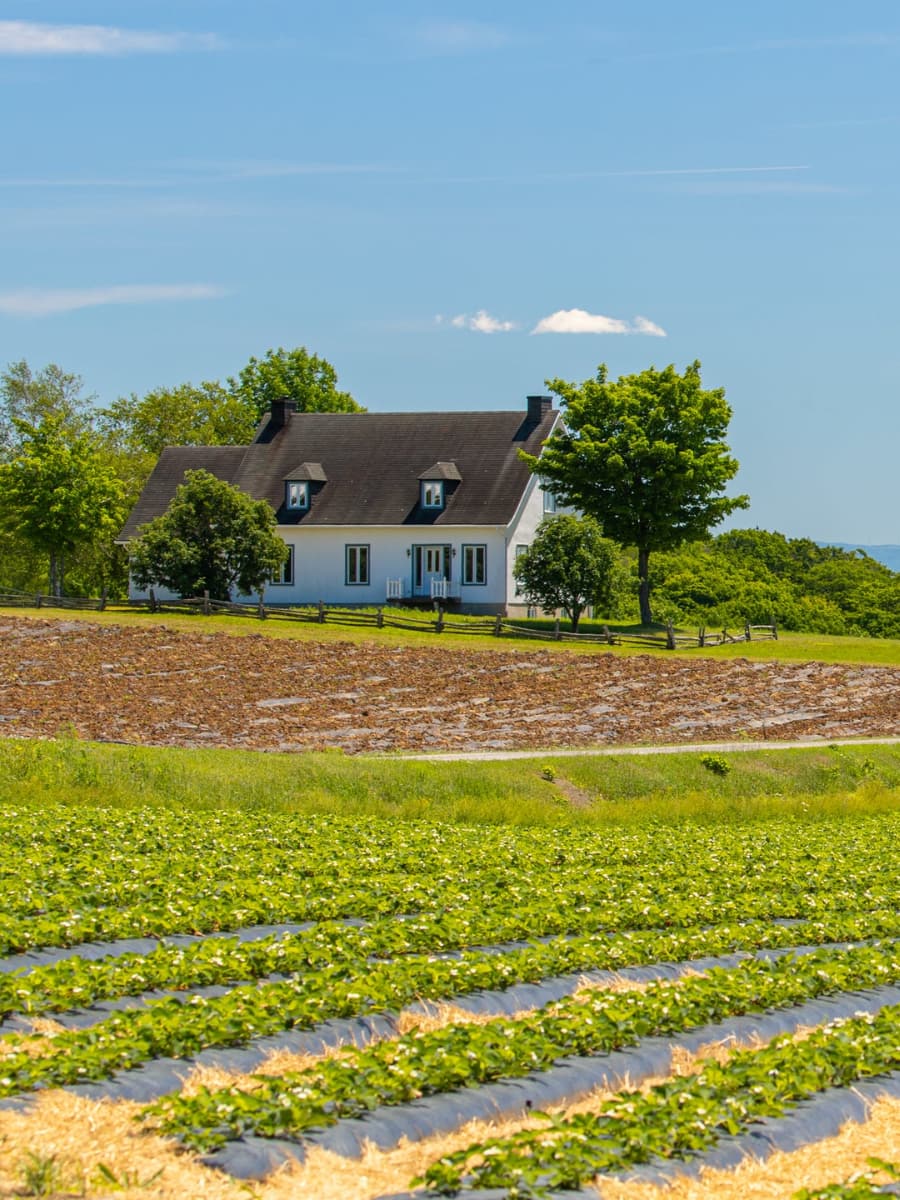Île d'Orléans, Quebec City