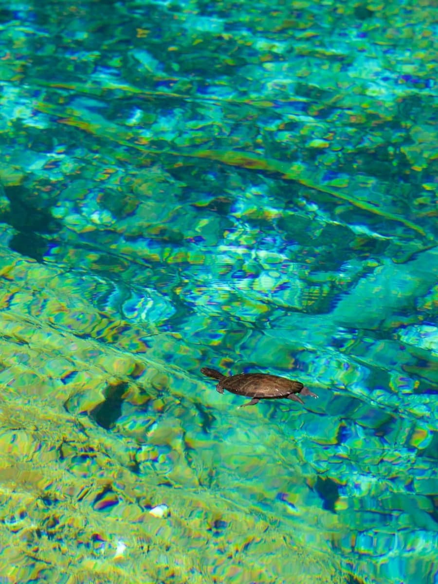 Indigenous Eyes Ecological Park, Punta Cana