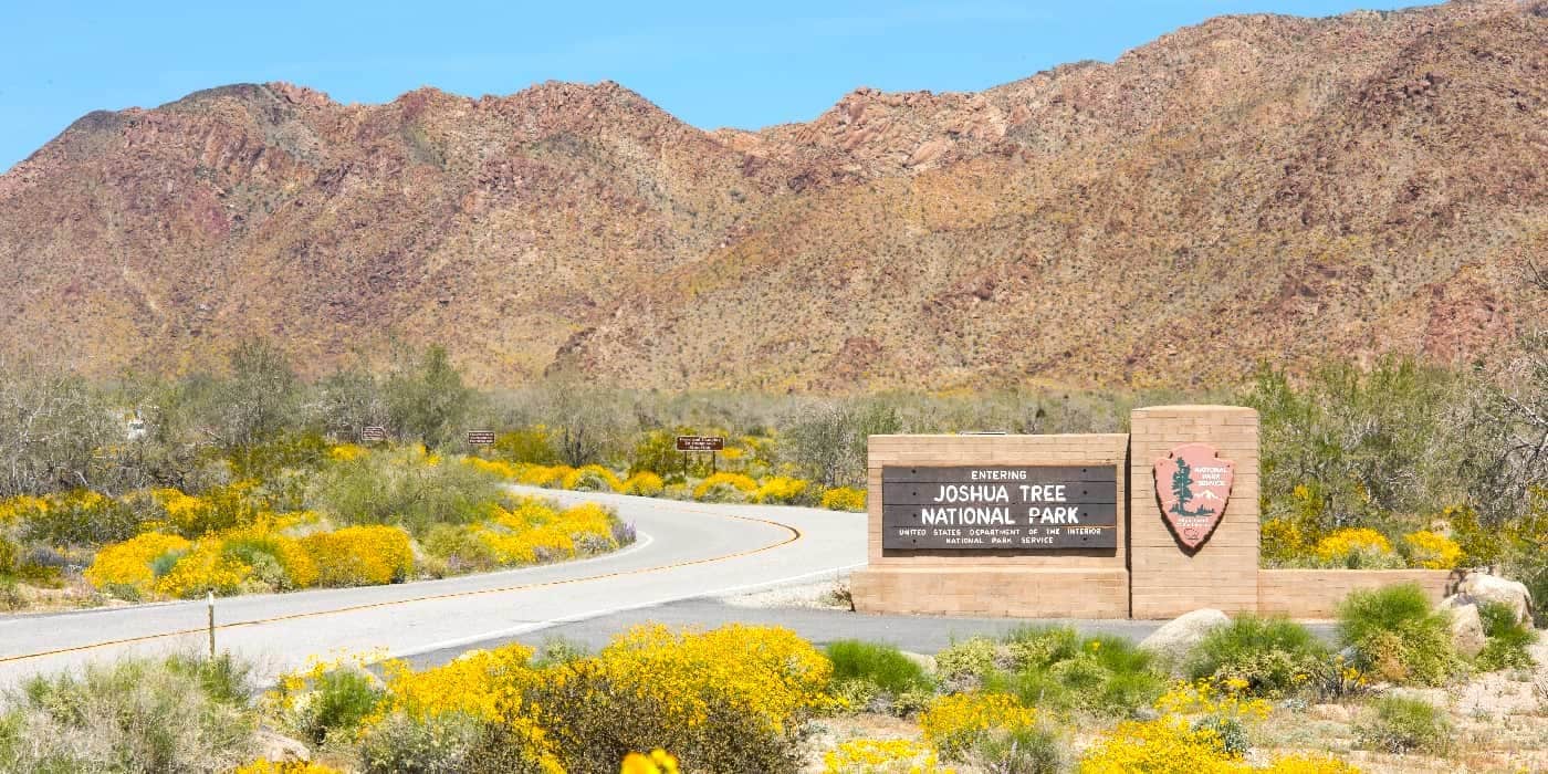 Joshua Tree National Park, Palm Springs