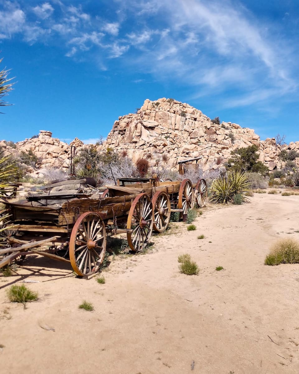 Joshua Tree National Park, CA