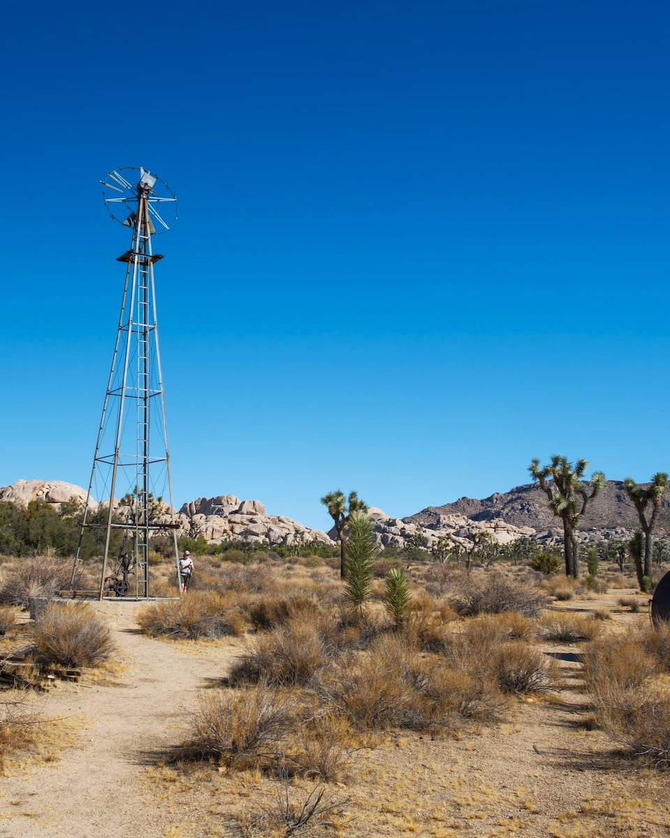 Joshua Tree National Park, CA