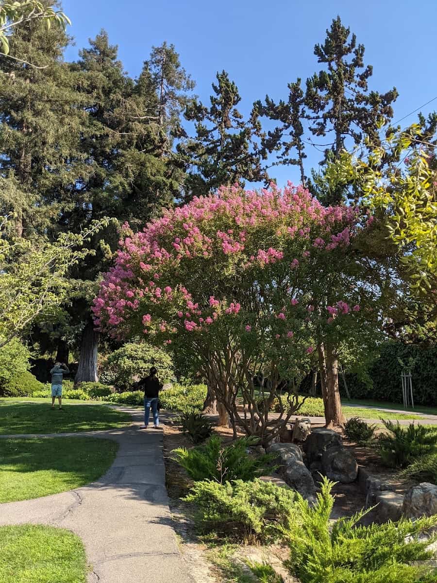 Kelley Park Japanese Friendship Garden, San Jose, USA