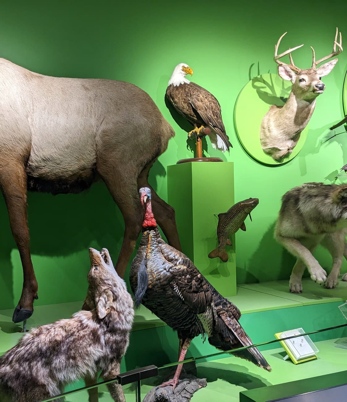 Kentucky Science Center, Louisville