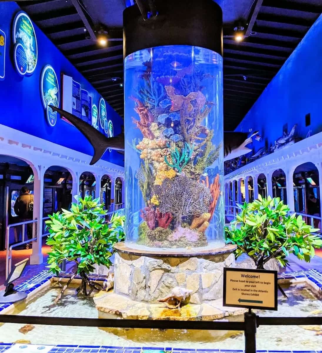 Key West Aquarium