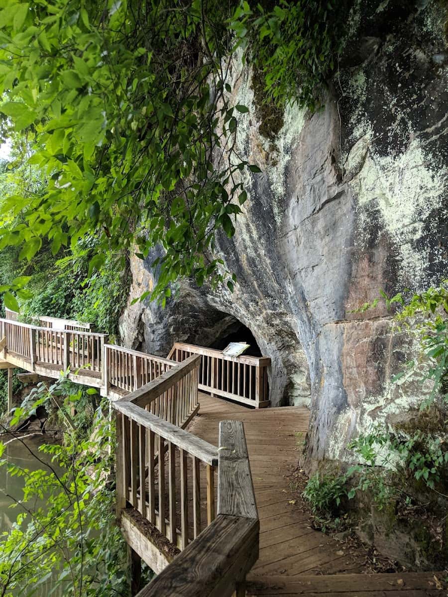 Knoxville's Ijams Nature Center, Tennessee