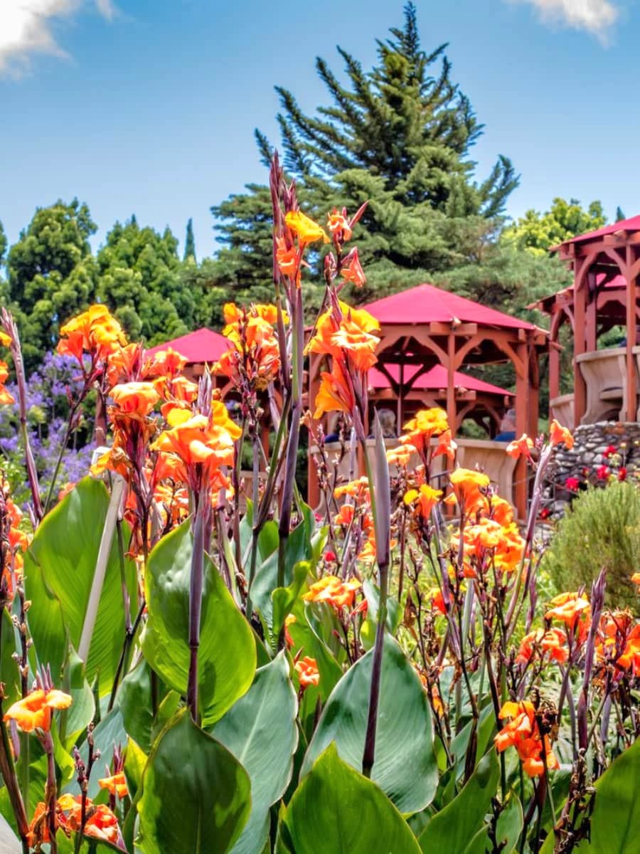 Kula Botanical Garden, Maui