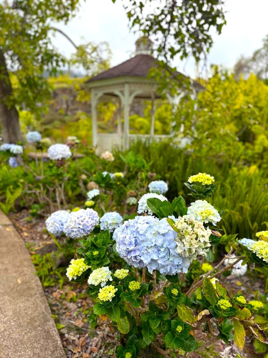 Kula Botanical Garden, Maui