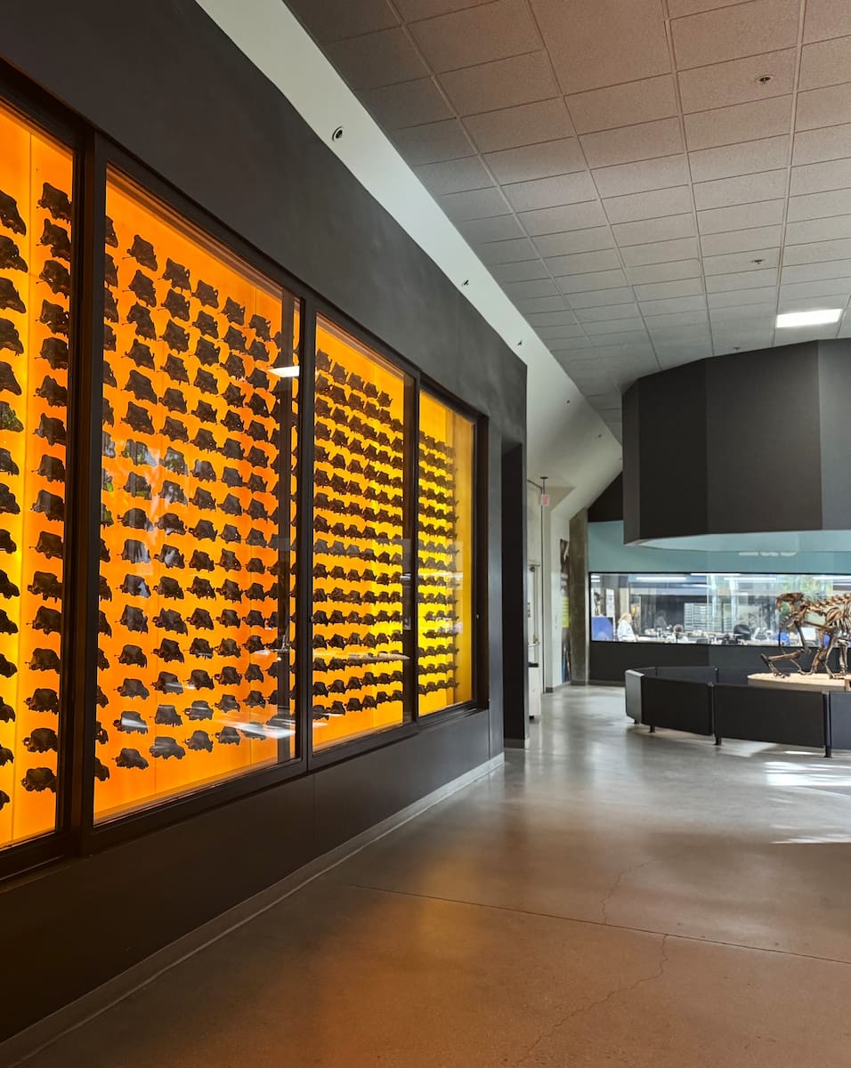 La Brea Tar Pits and Museum, LA