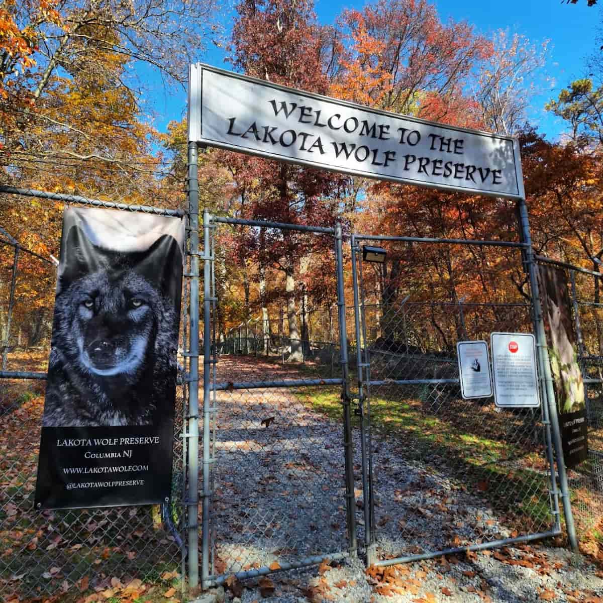 Lakota Wolf Preserve