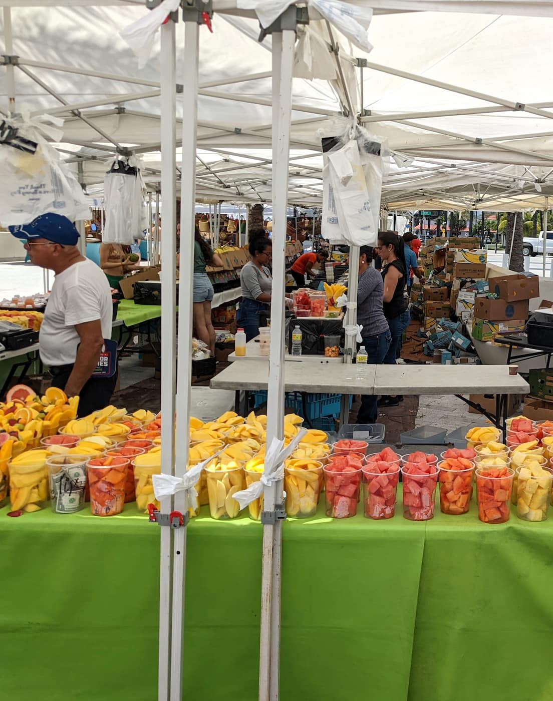 Las Olas Oceanside Park Fort Lauderdale