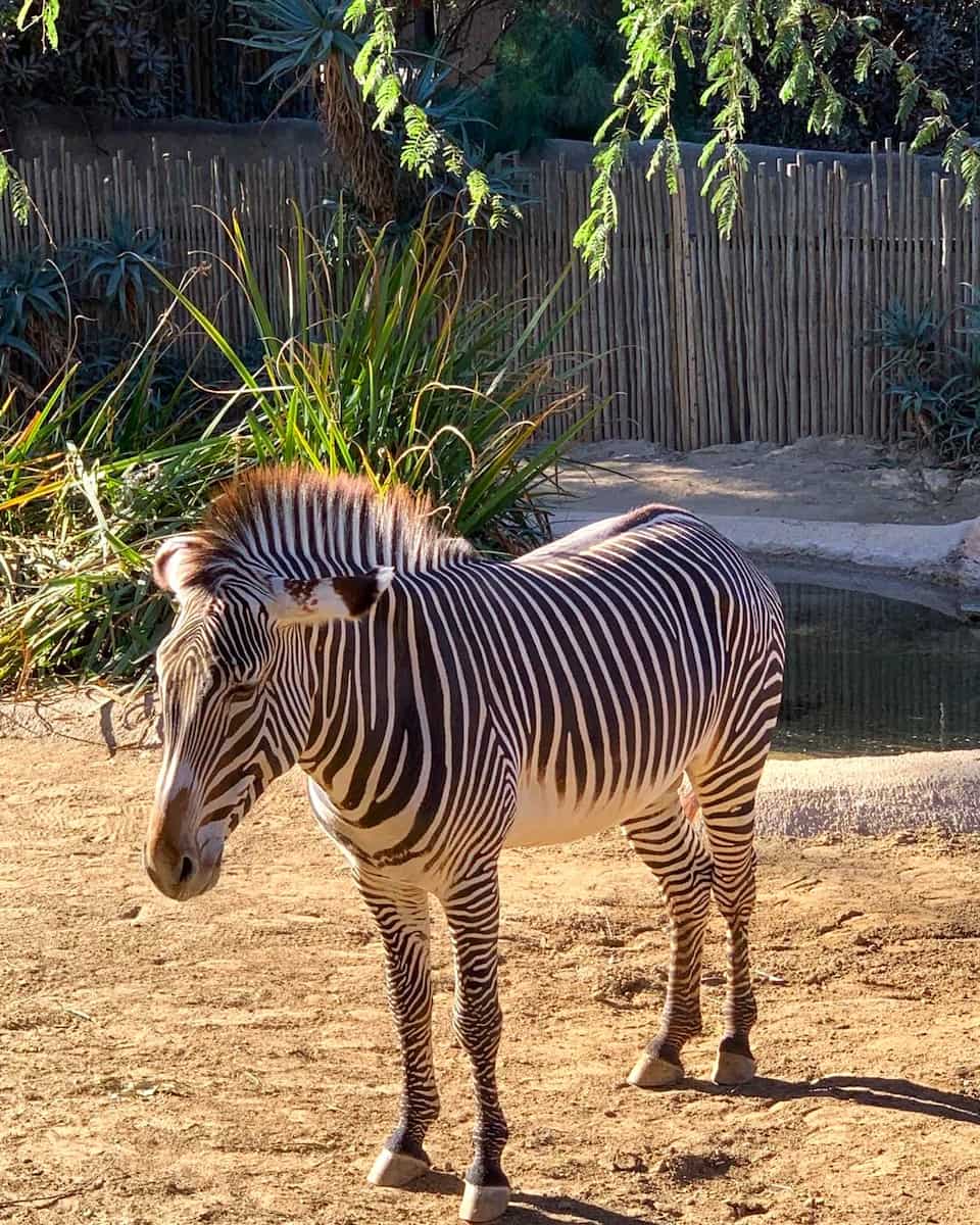 Los Angeles Zoo and Botanical Gardens