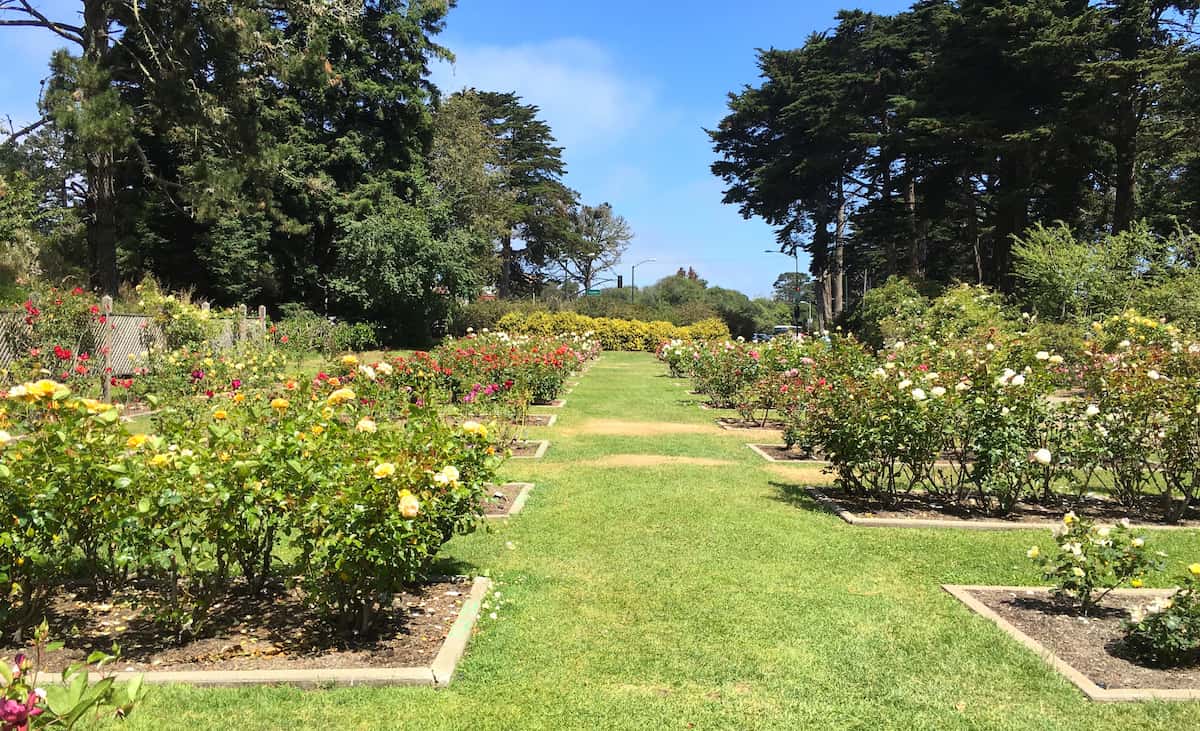 Lyndale Rose Garden Minneapolis