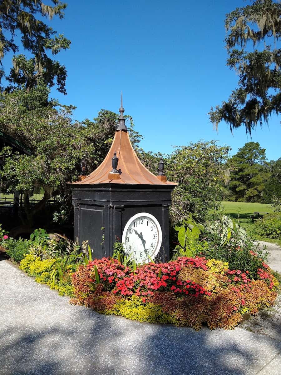 Magnolia Plantation & Gardens, Charleston