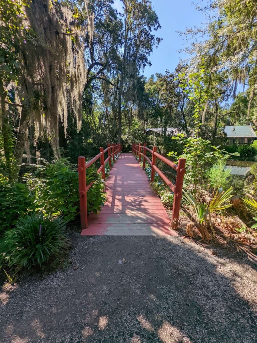 Magnolia Plantation & Gardens, Charleston