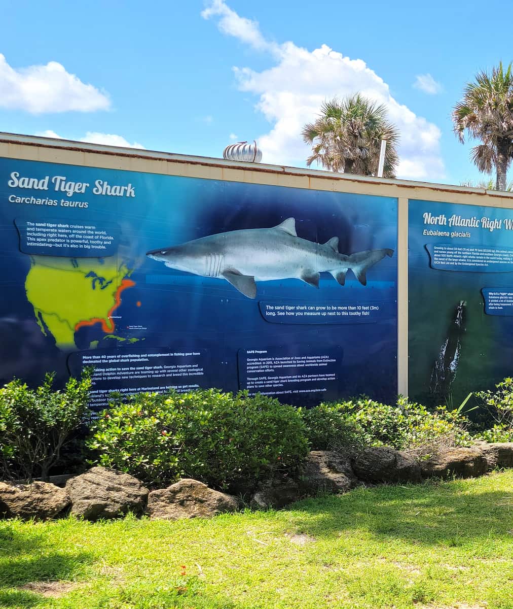 Marineland Dolphin Adventure, FL