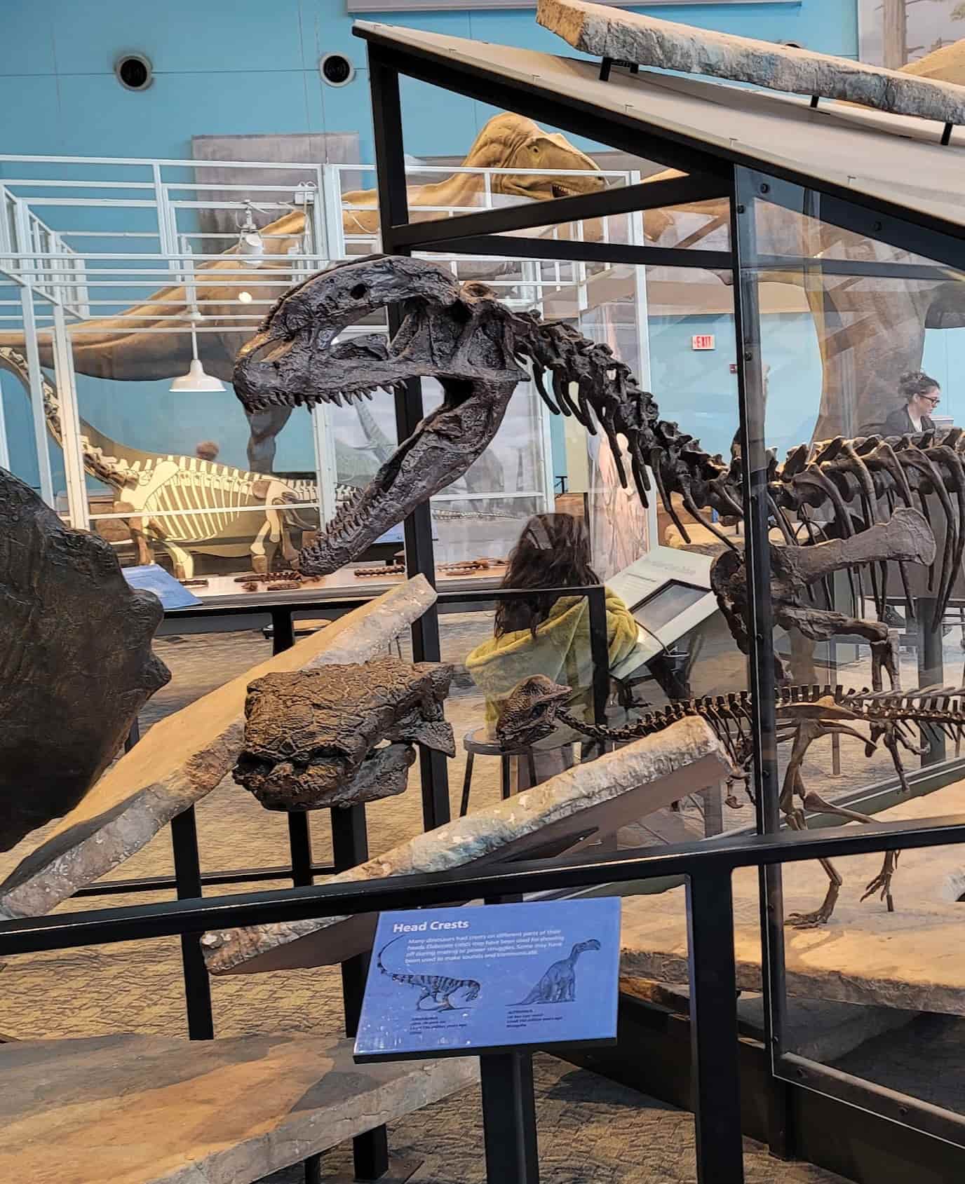 Maryland Science Center, Baltimore