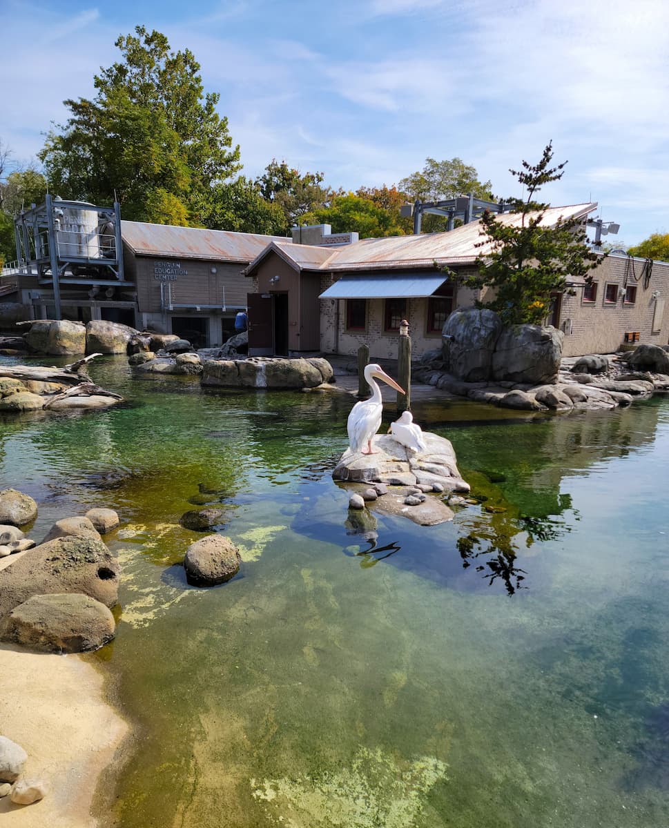 Maryland Zoo, Baltimore