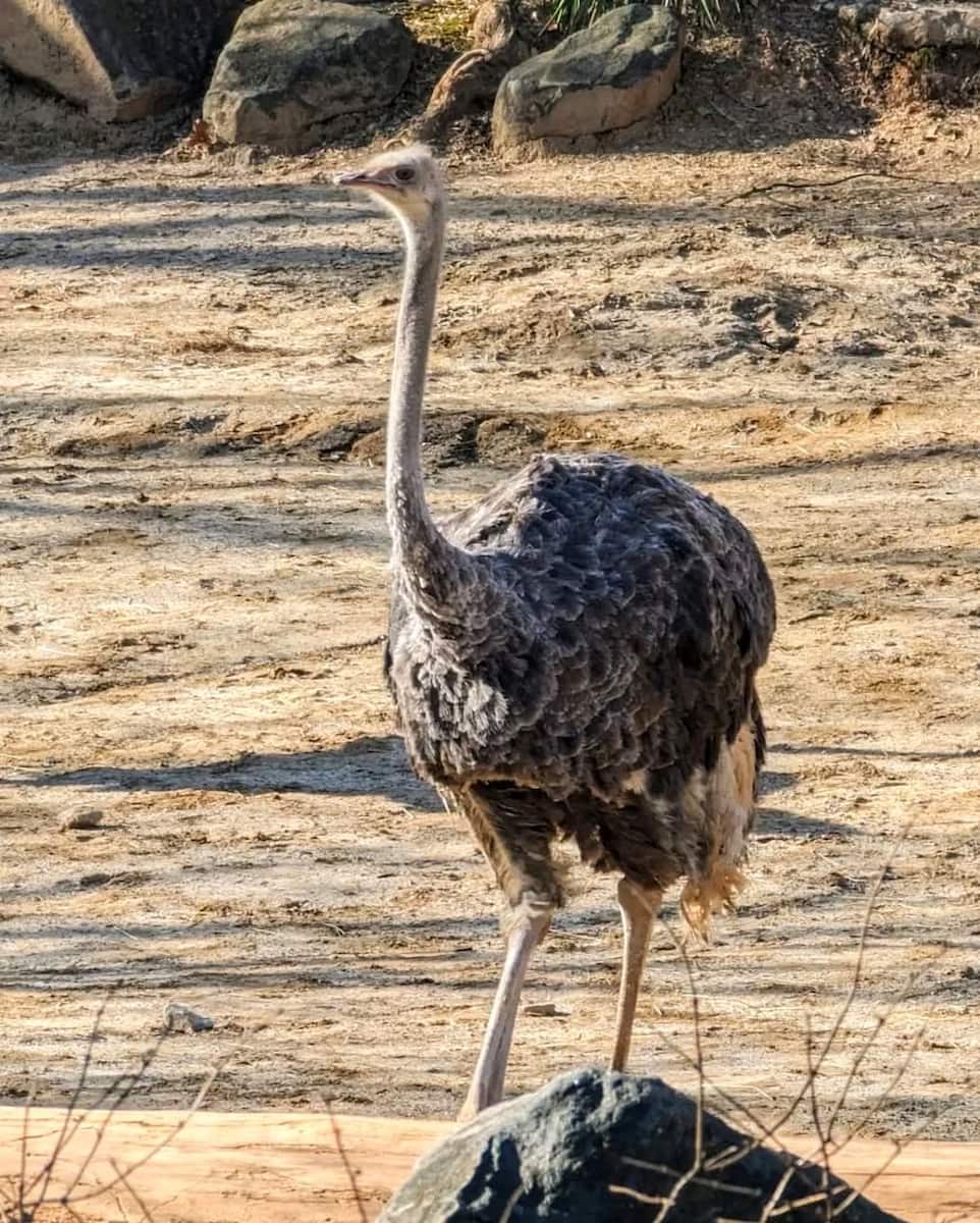 Maryland Zoo, Baltimore