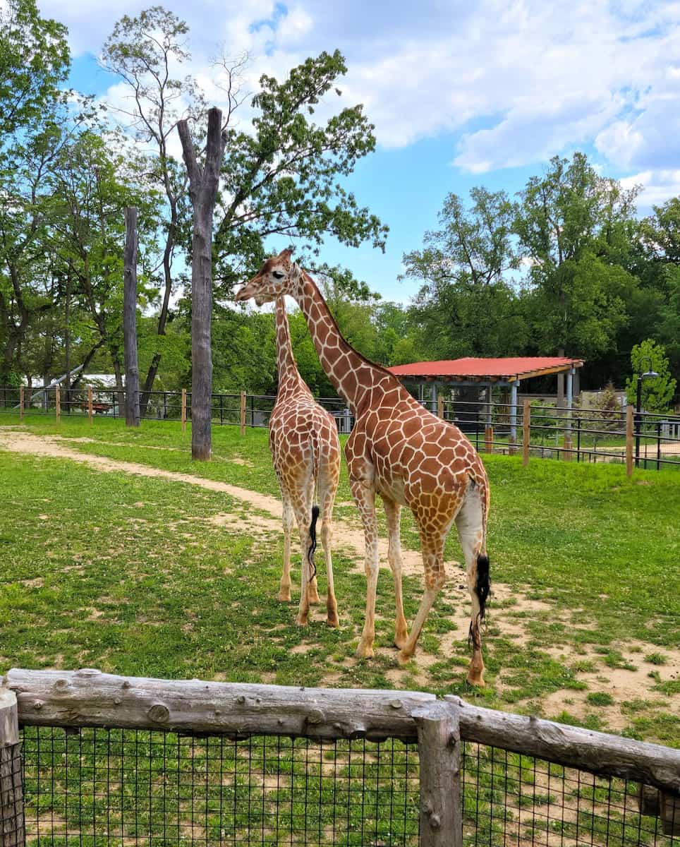 Maryland Zoo, Baltimore