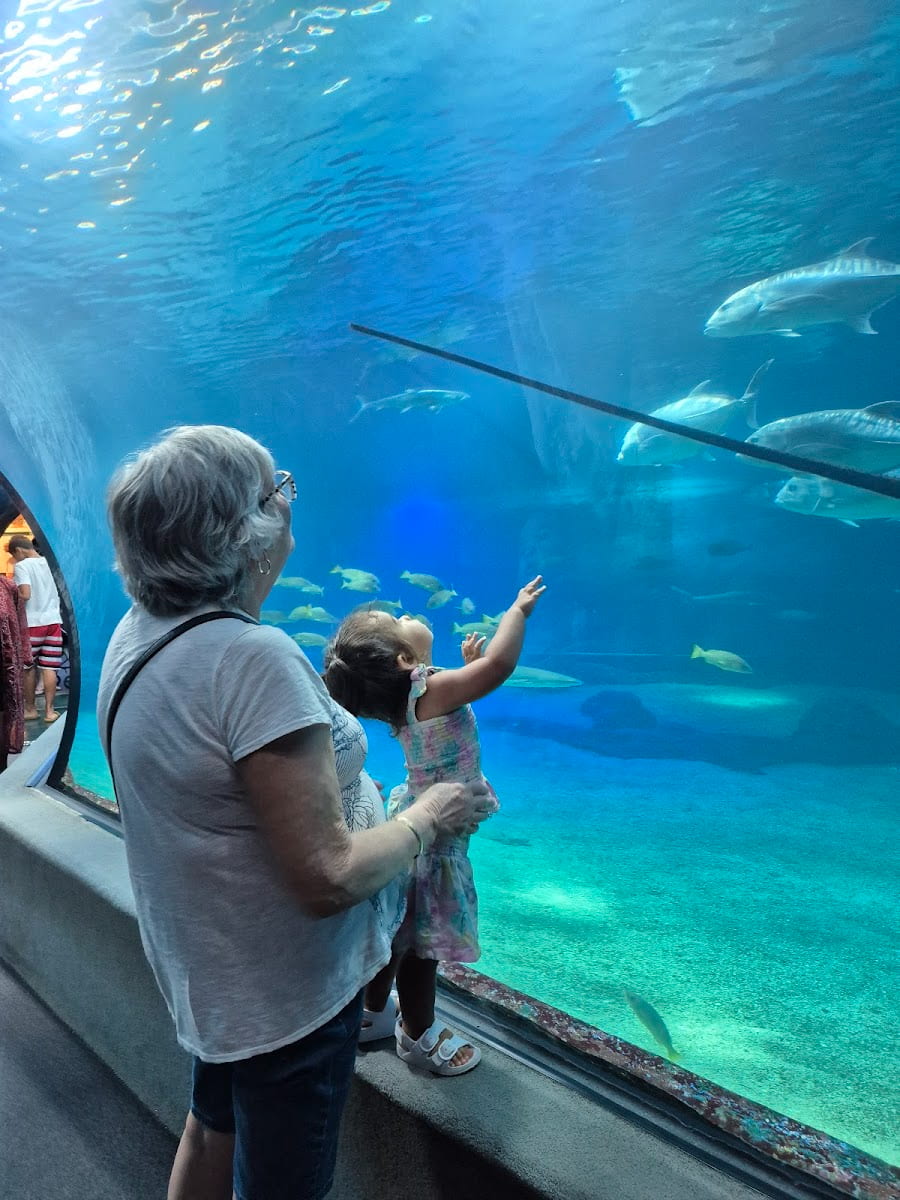 Inside of Maui Ocean Center Aquarium, Maui